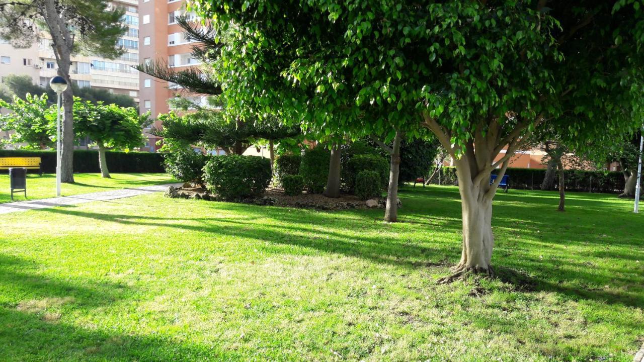 Apartamento Edificio Provima B 5 Benidorm Dış mekan fotoğraf